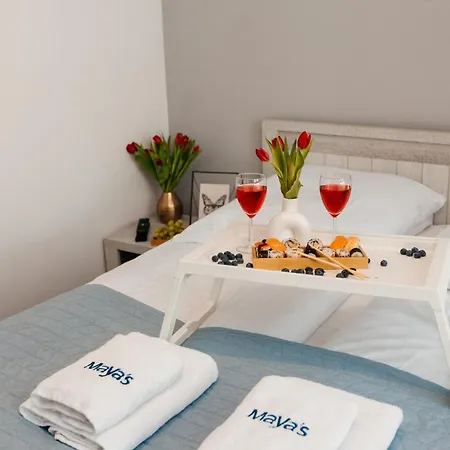 Maya's Flats & 25 - Z Widokiem Bastion Walowa, Apartment Gdansk